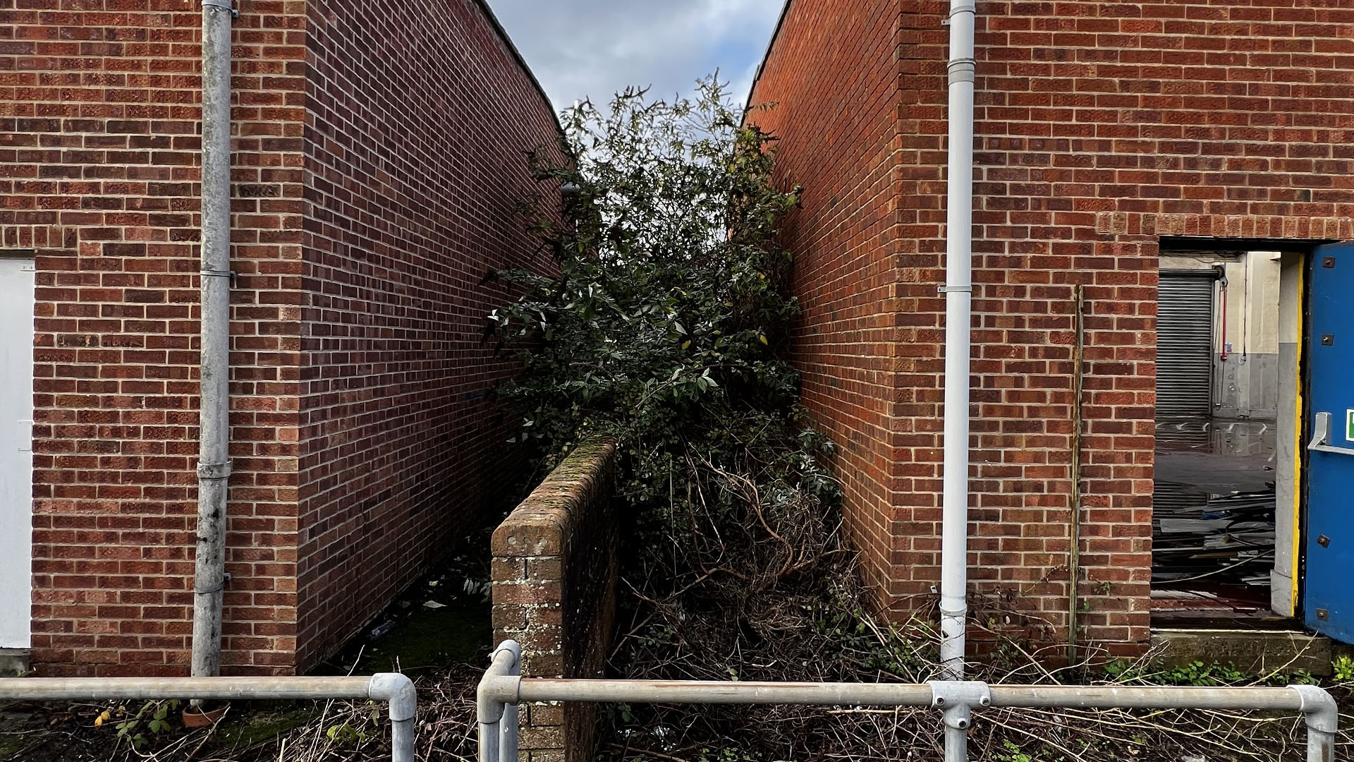 Who Should You Contact First — The Council, a Surveyor, or Your Neighbour Banbury?